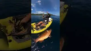 Mas bule ini mendapatkan ikan emas besar #mancing #mancingmania #short