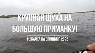 КРУПНАЯ ЩУКА на БОЛЬШУЮ ПРИМАНКУ! Рыбалка на спиннинг 2022.