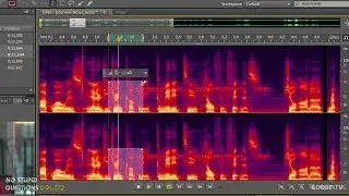 Introduction to Noise Reduction in Audition