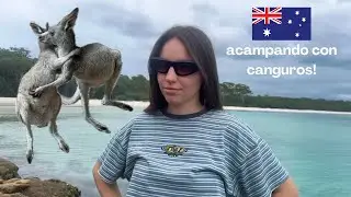 WE DISCOVERED PARADISE IN AUSTRALIA || JERVIS BAY
