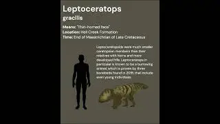 Leptoceratops - Paleo Profile #shorts
