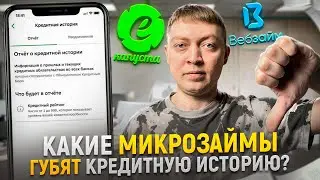 Какие микрозаймы не обновляют кредитную историю? Как почистить КИ от мфо.