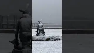 Just another snowy day at the beach in Rhode Island ￼