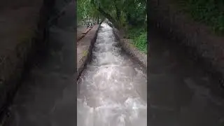 Течет с гор прямо по городу.