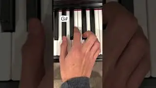 Wonder | Shawn Mendes | Piano Shorts