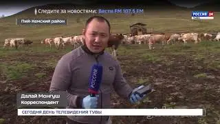 Regagro в РеспубликеТува