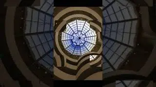 The Guggenheim Museum #motivation #guggenheim  #photography #whataview #picoftheday #shorts