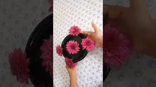 Round flower arrangement tutorial #shorts #YouTubeshorts #floralarrangement #floraldesign