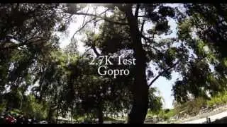 2.7K Test Gopro & Protune