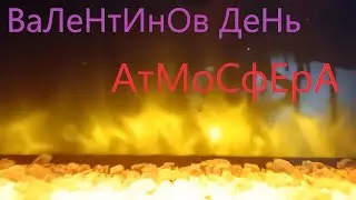 💜Праздничная Атмосфера💜 в Нашем Доме на день Влюблённых💜