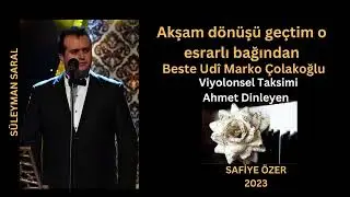 Akşam dönüşü geçtim o esrarlı bağından - Süleyman Saral