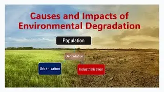 Causes and impacts of Environmental Degradation | Population | Urbanisation | Industrialisation |