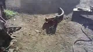 Тут я работаю!