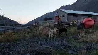 Мы снова приехали в Грузию) Степанцминда.