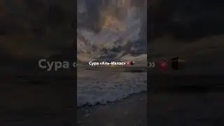 24 ноября 2023 г.