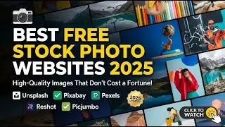 Top 11 Free Stock Photo Websites Every Creator Needs