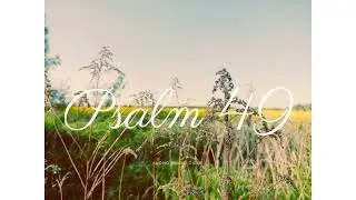 AMO - Psalm 49 (SBC Sessions)