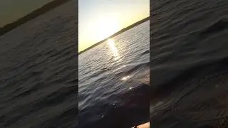 Ловля щуки на спиннинг...