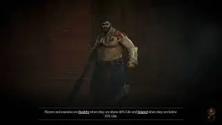 Diablo IV Druid, rushing thru the story / catching up Part 1