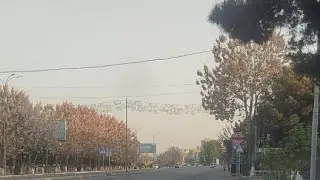 Mirzohid Qahhorov efirda! xayrli tong!