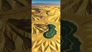 A.I. Magic: Dubai's Desert Dream Come True