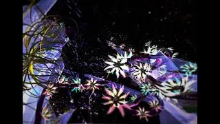 Molecular Garden Walkthrough V1 by Aoife Van Linden Tol for Paco Rabanne