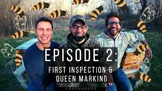 Episode 2:  First Inspection & Queen Marking