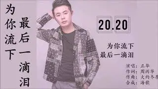 正华  为你流下最后一滴泪   MTV