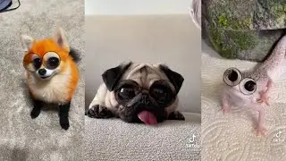 Tiktok yeni akım | Hello my name is zuzie