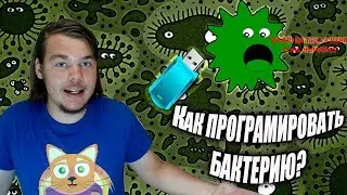 Как запрограммировать бактерию? Разговор о биокомпьютерах