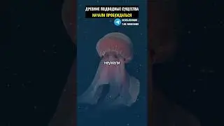 Древние подводные существа начали пробуждаться