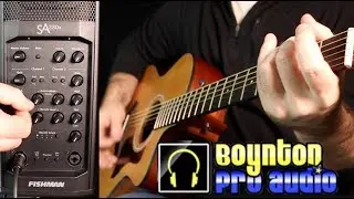 Fishman SA330X