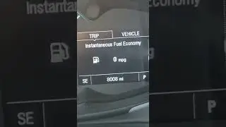boob