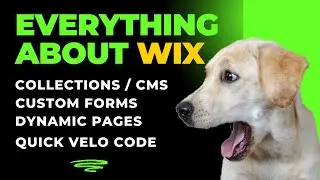 How to create custom forms in Wix use collections and dynamic pages