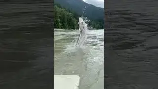 когда купил новую удочку и уже ждешь рыбалку 🐟🐟🐟 #рыбалка #удочка #мем #рыба #юмор #карась