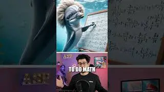 THE DOLPHIN REVOLUTION IS COMING #shorts