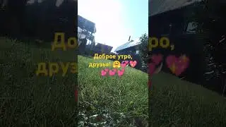 13 июля 2024 г.