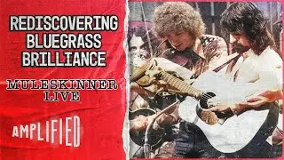 Rediscovering Bluegrass Brilliance: Muleskinner's Live Legacy