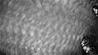 RMS BR0012 20240125 210640 222762 timelapse