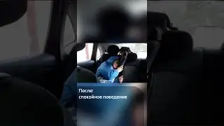 Скулеж и беЗпокойство в машине