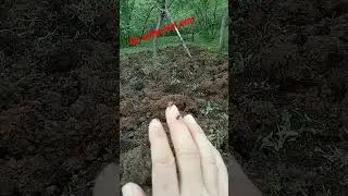 Uğur böceği ne tarafa uçarsa sevdiğin o tarafta imiş 😁 yıllardır yanlış yöne uçuyor galiba 🤣