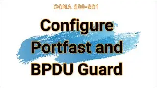 63. Configure Portfast and BPDU Guard