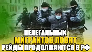 Мигранты не ждали столько рейдов. По всей России ловят нелегалов. Отчёт МВД.