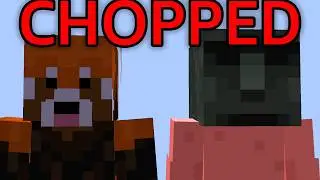 The Worst Minecraft SMP...