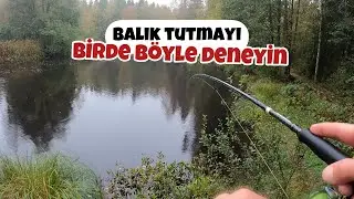 Bu Yöntem Çok Başarılı! Yağmurda Kullanılan En Basit Teknik!