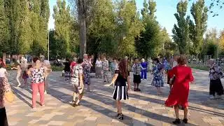 Яблони в цвету