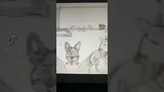 Art vs Artist