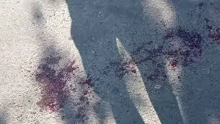 #Голдинов Криминальный дуэт
