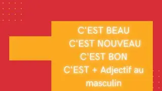 C'EST + ADJECTIF SEUL = L'ADJECTIF EST TOUJOURS AU MASCULIN. C'EST FOU ! ;)