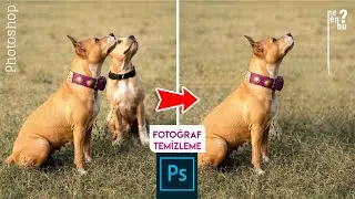 Fotoğraflarda İstenmeyen Yerleri Silme – Photoshop Eğitim Dersleri